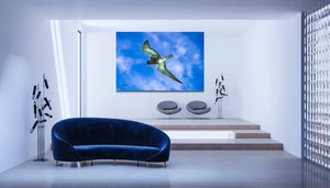 Modern living room with blue velvet sofa and wall art of a flying bird against blue sky