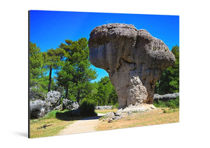 Acrylic photo print featuring a large mushroom-shaped rock formation in a sunny forest landscape