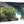 Acrylic photo print featuring a glossy landscape of trees and a river in vivid colors