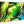 Acrylic photo print with vibrant green and yellow seashell abstract art, glossy finish