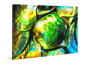 Acrylic photo print with vibrant green and yellow seashell abstract art, glossy finish
