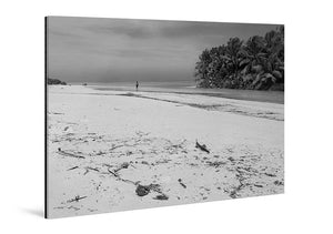Black and white acrylic photo print of a beach with palm trees and distant figure