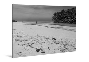 Black and white photo of a beach with palm trees printed on glossy aluminum Dibond panel