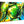 Glossy aluminum photo print featuring vibrant, iridescent seashells in close-up view