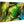 Colorful iridescent seashells close-up photo print on wood wall art