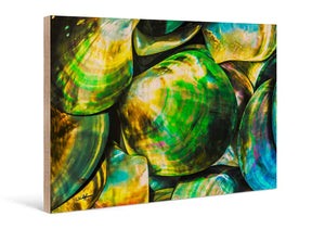 Colorful iridescent seashells close-up photo print on wood wall art