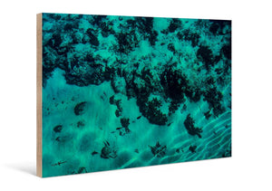 Direct print on wood featuring underwater ocean scene with coral and fish