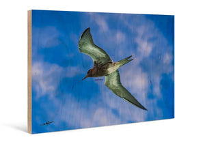 Direct print of a bird in flight on wood, blue sky background, wall art decor