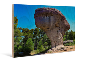 Direct print on wood featuring a unique mushroom-shaped rock formation and forest scenery