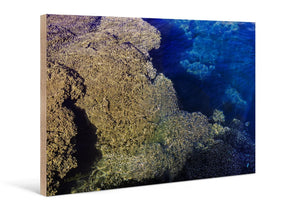 Direct print on wood featuring aerial ocean view with detailed coral reef and blue water