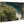 Direct print on wood featuring a landscape with trees and a river