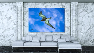 Modern living room with marble walls, white sofa, and large bird photo wall art on blue sky background