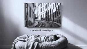 Black and white photo of a sleeping baby in a soft bed under a city street art print.