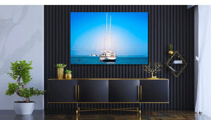 Modern living room with yacht wall art, black panel wall, gold decor, and bonsai plant