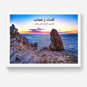 Arabic book cover with a tropical beach landscape, palm trees, and blue sky, featuring artistic photography and poetry themes.