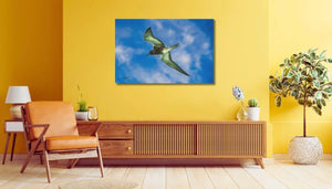 Modern living room with yellow walls, wooden furniture, and bird photograph wall art decor.