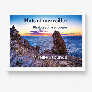  Image couverture du livre en Français