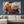 Coquille d’Ambre - Tableau décoratif en Alu Dibond