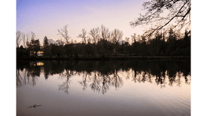 Calm lake at sunset with tree reflections and buildings in the background