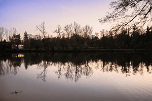 Calm lake at sunset with bare trees and building reflections in the water