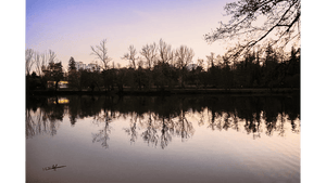 Serene lake at dusk with bare trees reflected in calm water and pastel sunset sky.