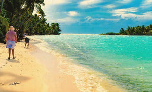 People walking on a tropical beach with turquoise sea, palm trees, and blue sky