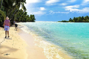 People walking on tropical beach with turquoise sea, palm trees, and blue sky