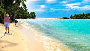 Tropical beach with turquoise water, palm trees, and people walking on sandy shore