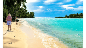 People walking on a tropical beach with turquoise water, palm trees, and blue sky