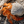 Orange hermit crab with spotted legs in a white shell on a sandy beach