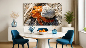 Modern dining room with blue chairs and marble table, featuring a wall art print of an orange hermit crab in a shell on the beach.
