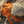Orange hermit crab with speckled legs in a beige shell on sandy ground