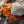Orange hermit crab in a textured white shell on a sandy beach with driftwood.