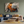 Modern living room with large wall art featuring a close-up photo of an orange hermit crab on gravel.