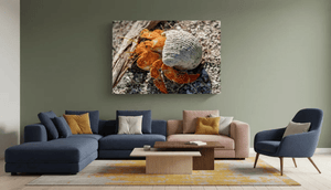 Modern living room with large wall art featuring a close-up photo of an orange hermit crab on gravel.