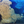 Close-up of vibrant coral reef meeting clear blue ocean water, underwater photography