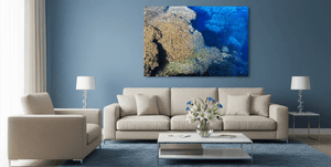 Modern living room with beige sofas, blue wall, and coral reef wall art above the couch.
