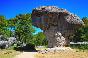 Large mushroom-shaped rock formation in a sunny forest landscape with clear blue sky