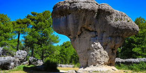 Large mushroom-shaped rock formation surrounded by green pine trees under blue sky