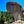 Large mushroom-shaped rock formation surrounded by pine trees in natural landscape