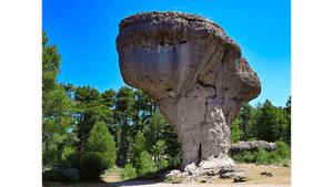 Large mushroom-shaped rock formation surrounded by pine trees in natural landscape
