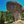 Large mushroom-shaped rock formation surrounded by pine trees under a clear blue sky.