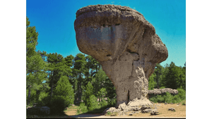 Large mushroom-shaped rock formation surrounded by pine trees under a clear blue sky.