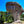 Large mushroom-shaped rock formation surrounded by green forest under clear blue sky