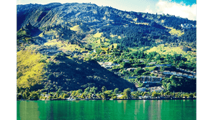 Vibrant green hillside with scattered houses and clear turquoise lake under blue sky