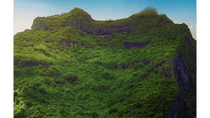 Lush green mountain landscape with dense forest under clear blue sky