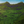Lush green forest covering steep mountain cliffs under a clear blue sky
