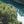 Aerial view of a lush green forest bordering a winding turquoise river