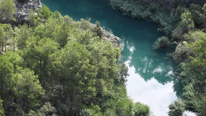 Aerial view of a lush green forest bordering a winding turquoise river