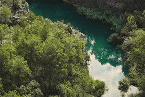Aerial view of lush green forest beside a calm turquoise river in nature landscape.